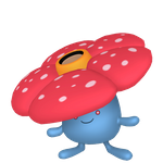 霸王花