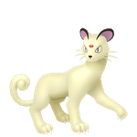 猫老大（闪光）