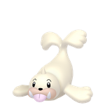小海狮（闪光）