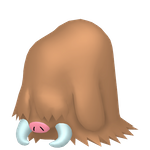 长毛猪