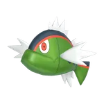野蛮鲈鱼