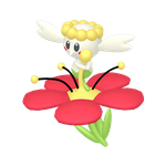 花蓓蓓
