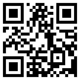 扫码下载91熊猫桌面主题