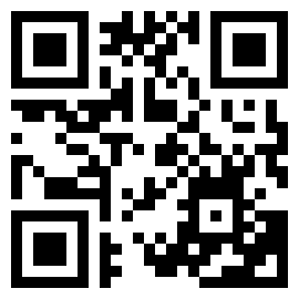 扫码下载车300二手车