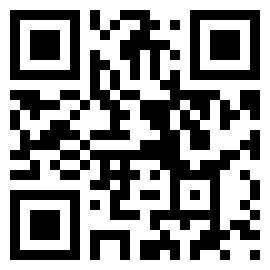 扫码下载以闪亮之名